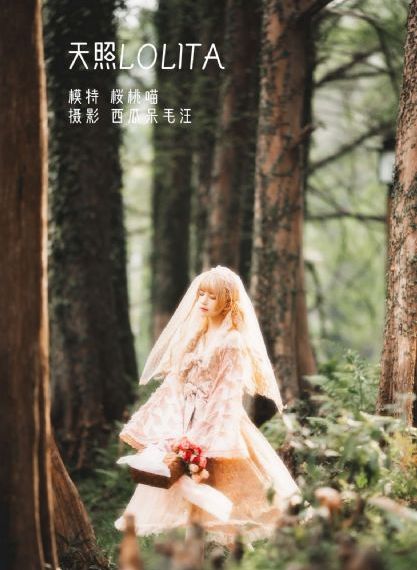 欧美不卡在线观看